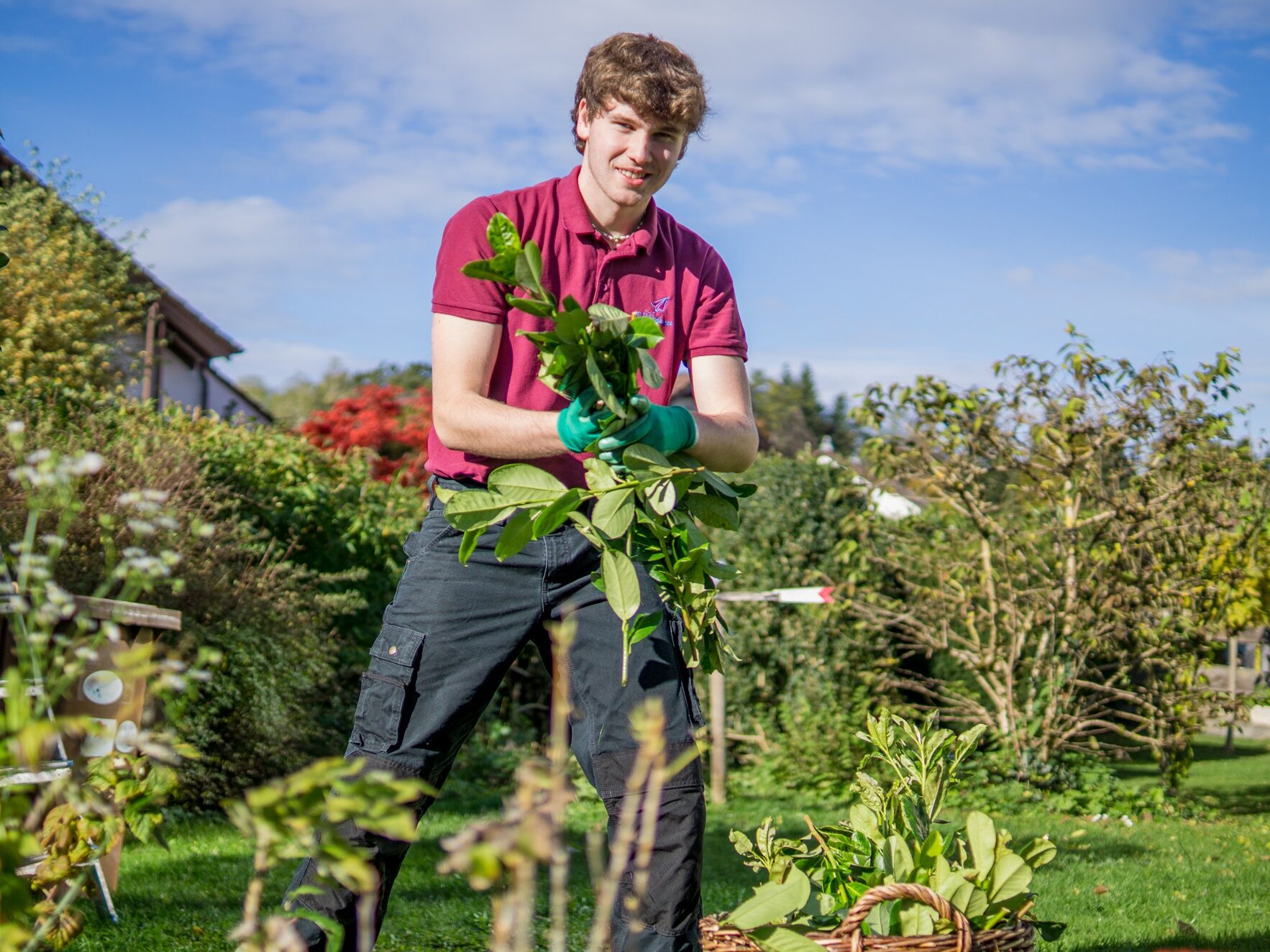 Mein Helfair nun aktiv in Ulm: Unterstützung im IT- und Gartenbereich aus Ihrer Nachbarschaft